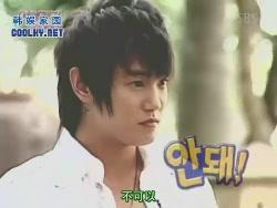 情书第二季背景音乐,旋律中的爱恋篇章