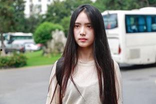 南艺明星,璀璨星河中的艺术之光