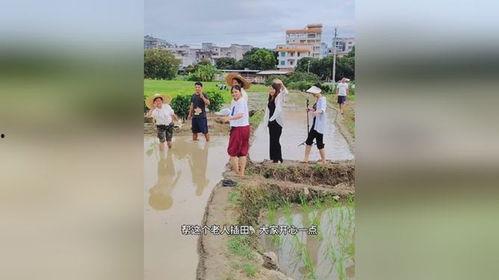 引导娱乐正能量,正能量娱乐盛宴