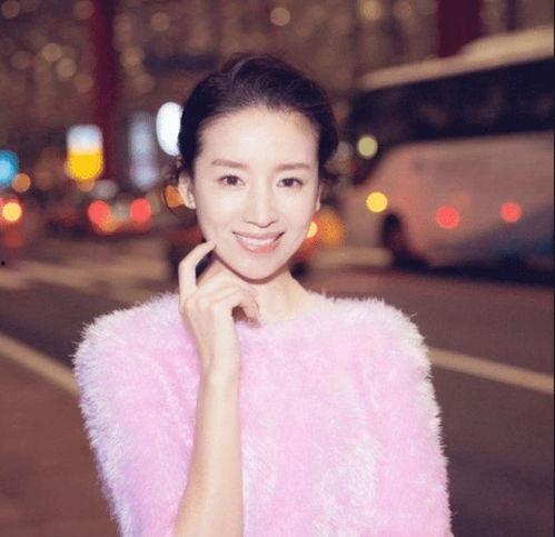 纵横娱乐圈之董洁,纵横娱乐圈的优雅舞者