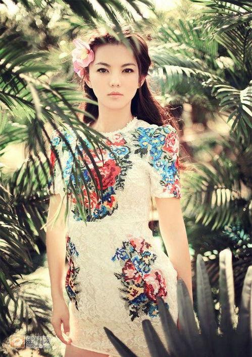 香港女娱乐主持,她们的魅力与影响力